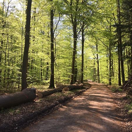 Kaerskovgard Ferielejligheder Faxe Buitenkant foto